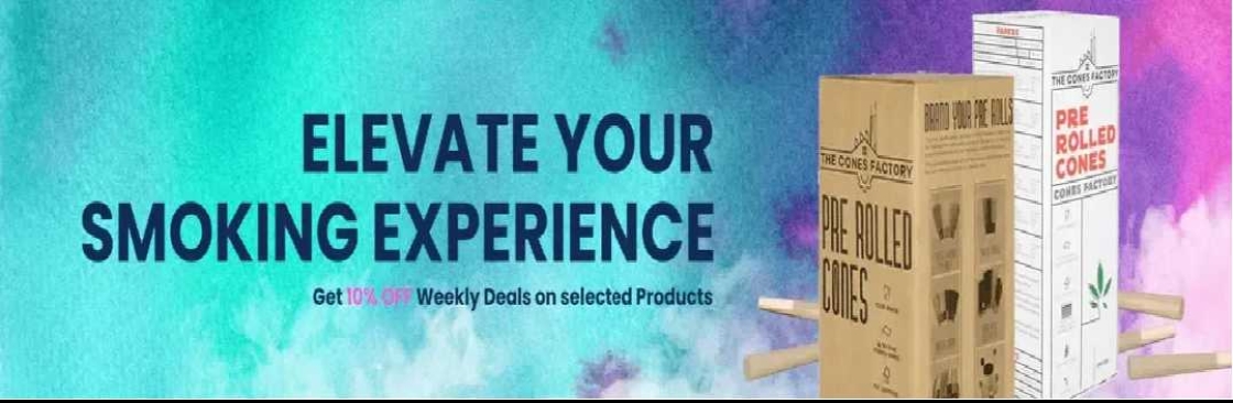 The Cones Factory Cover Image