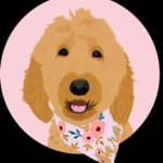Hera amazon dsp Profile Picture