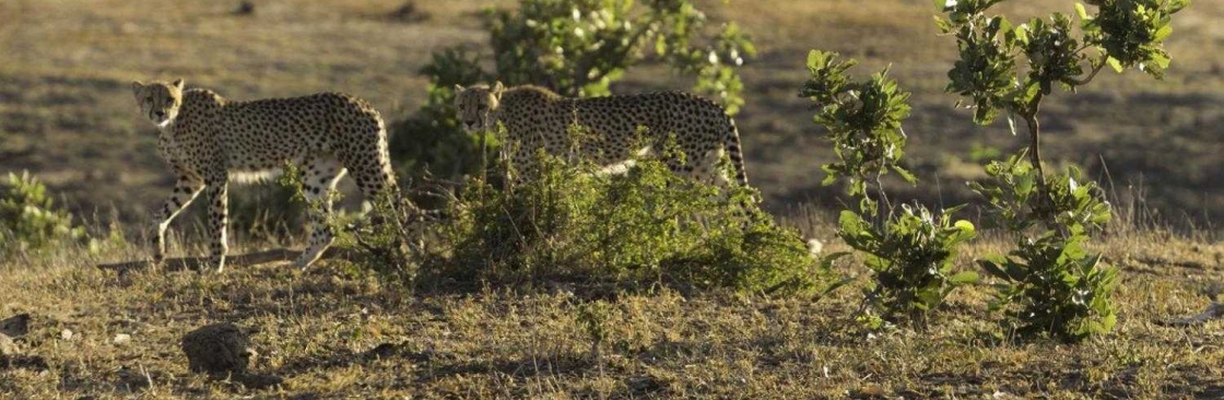 Asante Travel Group Cover Image