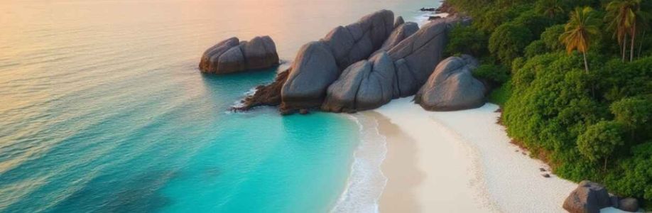 Beachory Beach Directory Cover Image