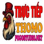 ĐÁ GÀ TRỰC TIẾP THOMO HÔM NAY TẠI CAMPUCHIA