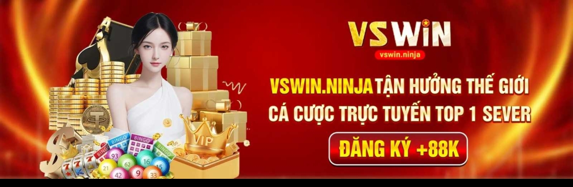 Vswin ninja Cover Image