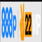 888P cam