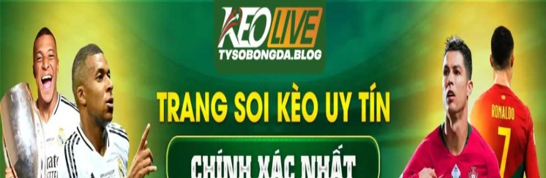 Tysobongda blog Cover Image