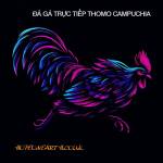 ĐÁ GÀ TRỰC TIẾP THOMO CAMPUCHIA Full HD HÔM NAY