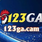 123GA cam Profile Picture