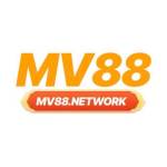 mv88network