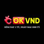 Okvnd3t cn com