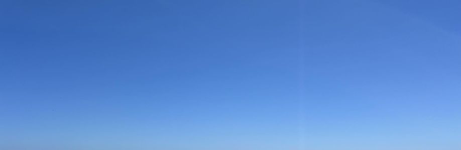 Minh Trí Cover Image