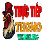 ĐÁ GÀ TRỰC TIẾP THOMO HÔM NAY TẠI CAMPUCHIA