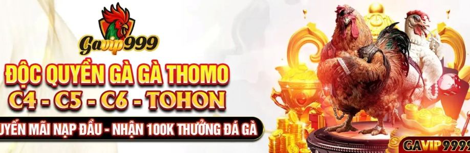 Gavip9999 Com Cover Image