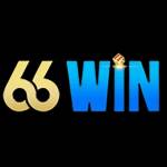 66WIN12 Profile Picture
