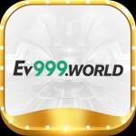 ev999world ev999world Profile Picture