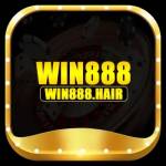 win888 hair