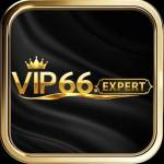 vip66 expert