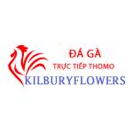 Đá Gà Trực Tiếp Thomo