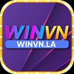 winvnla1