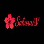 sakuraav live Profile Picture