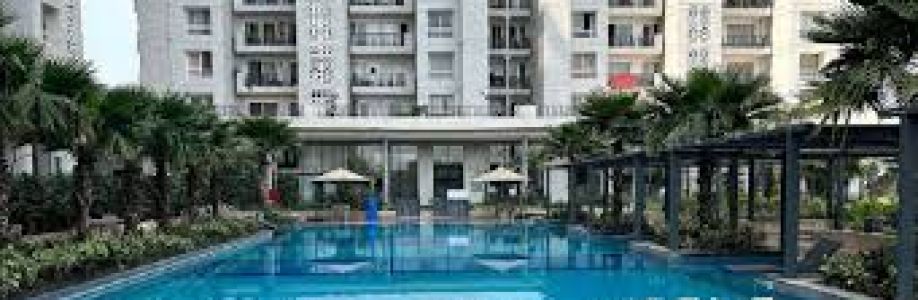 Mapsko Group Cover Image