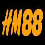 Hm888 in net Profile Picture
