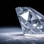 Ishaa Garg Profile Picture