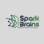 SparkBrains AI Machine Learning Company in I