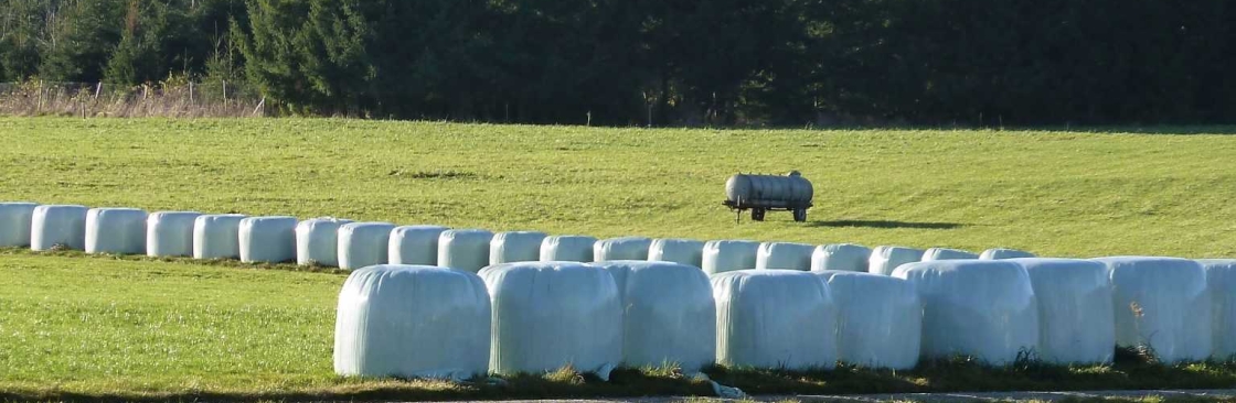 Christopher Chalmers Cover Image