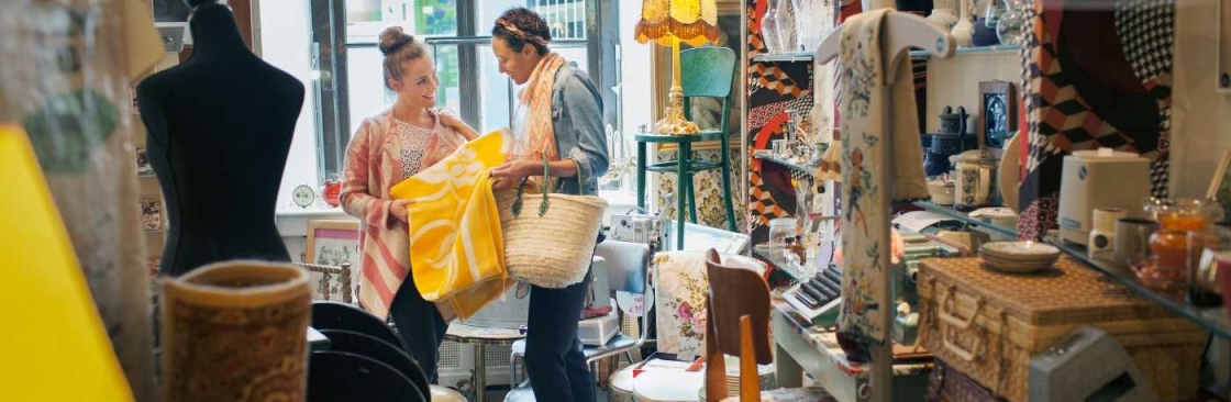 Kringloop Gemini Cover Image