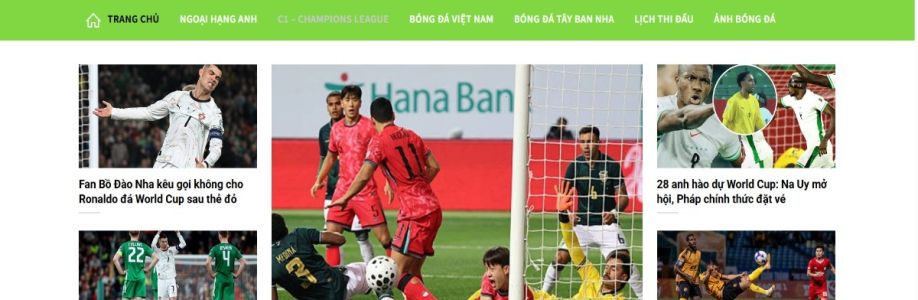 tuoitree com Cover Image