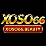 Xoso66 Nhà Cái Cá Cược Trực Tuyến Uy Tín Profile Picture