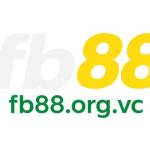 FB88 orgvc Profile Picture