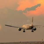 Flighta Up Profile Picture