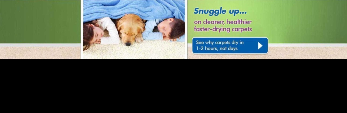 Chem-Dry Clean and Green Cover Image