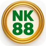 nk888 co com Profile Picture