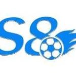 S 8