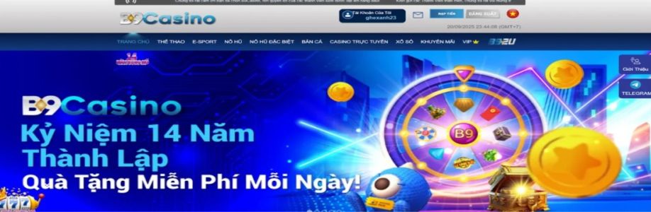 B9casino7 com Cover Image