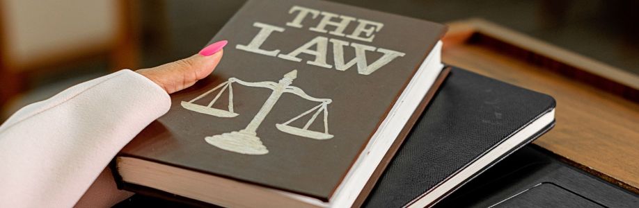 Minors Family Law Cover Image