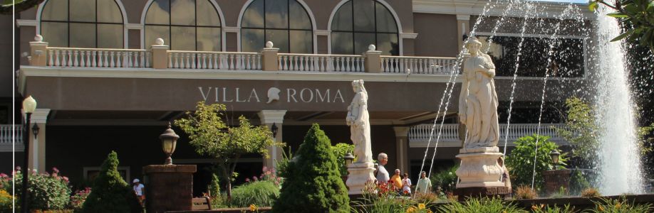 The Villa Roma Cover Image
