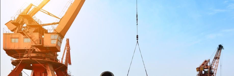 RADHA CRANES Cover Image