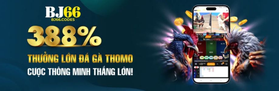 Bj66 codes Cover Image