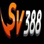Sv3888 co com Profile Picture