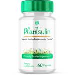 Plant Sulin Profile Picture