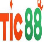 tic88 net