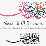 logan carter Profile Picture