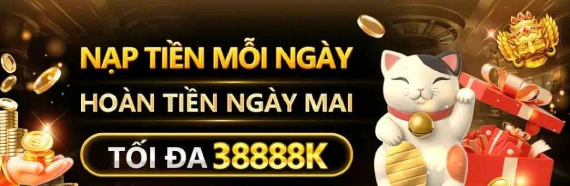 56win design Cover Image