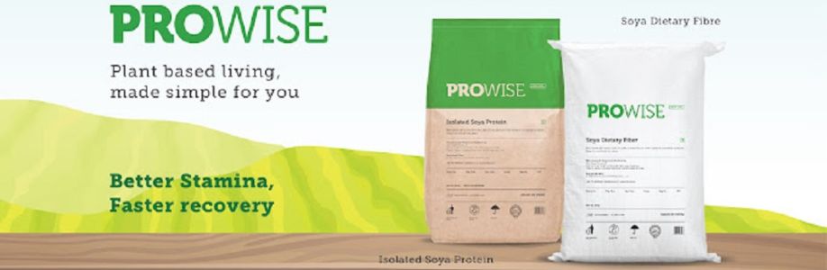 Prowise India Cover Image