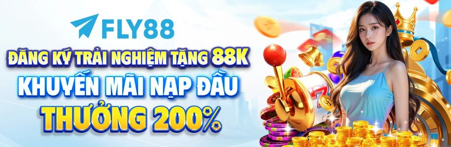 fly888 innet Cover Image