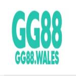 gg88 wales Profile Picture