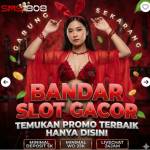 sms808 rtp Profile Picture