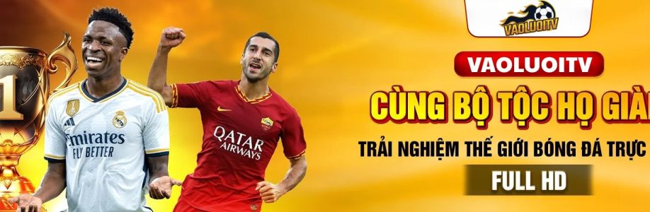 Vaoluoitv pro Cover Image